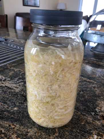 fermentation sauerkraut