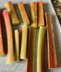 learn how to dehydrate rhubarb