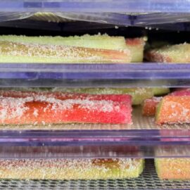 Dehydrated Rhubarb