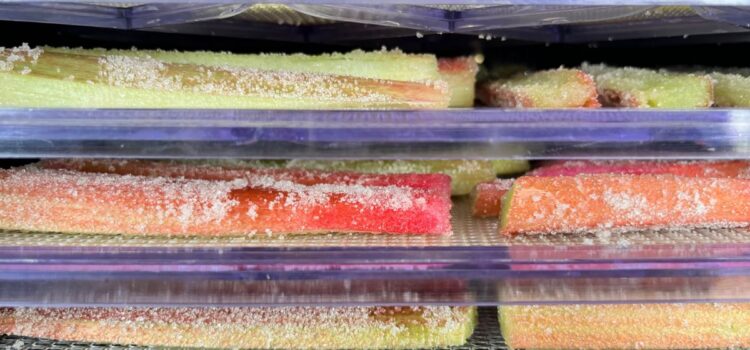 Dehydrated Rhubarb