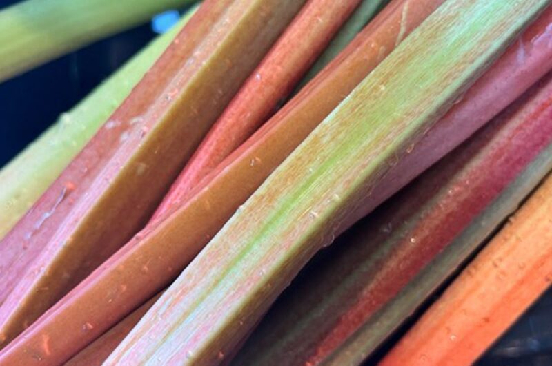 Stewed Rhubarb