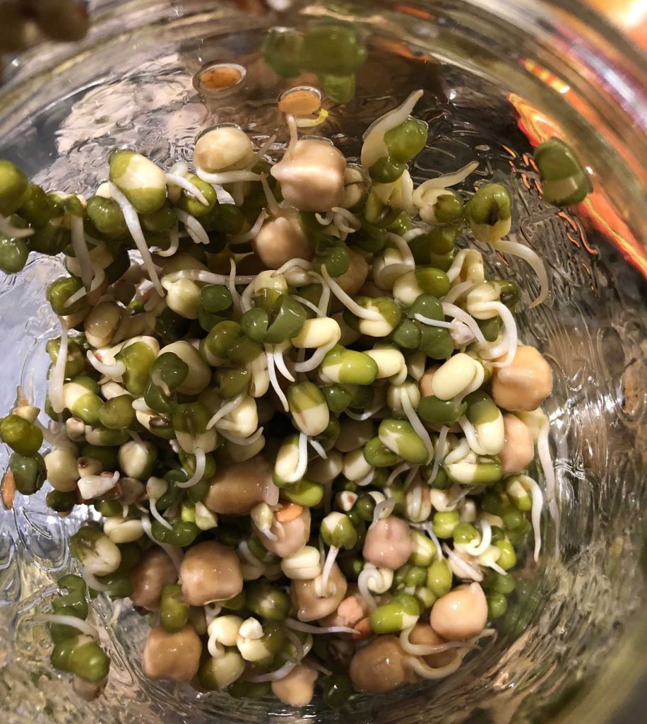 sprouting seeds